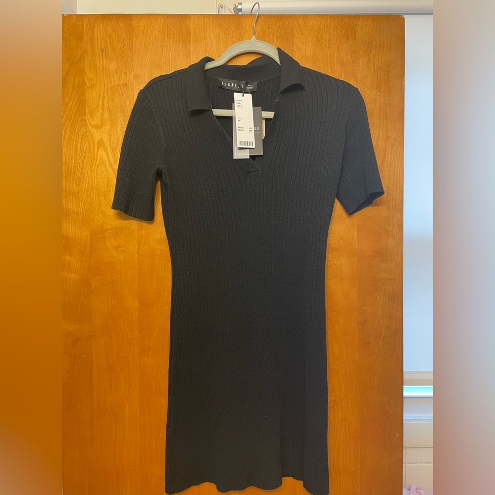 Lioness Black mini sweater dress